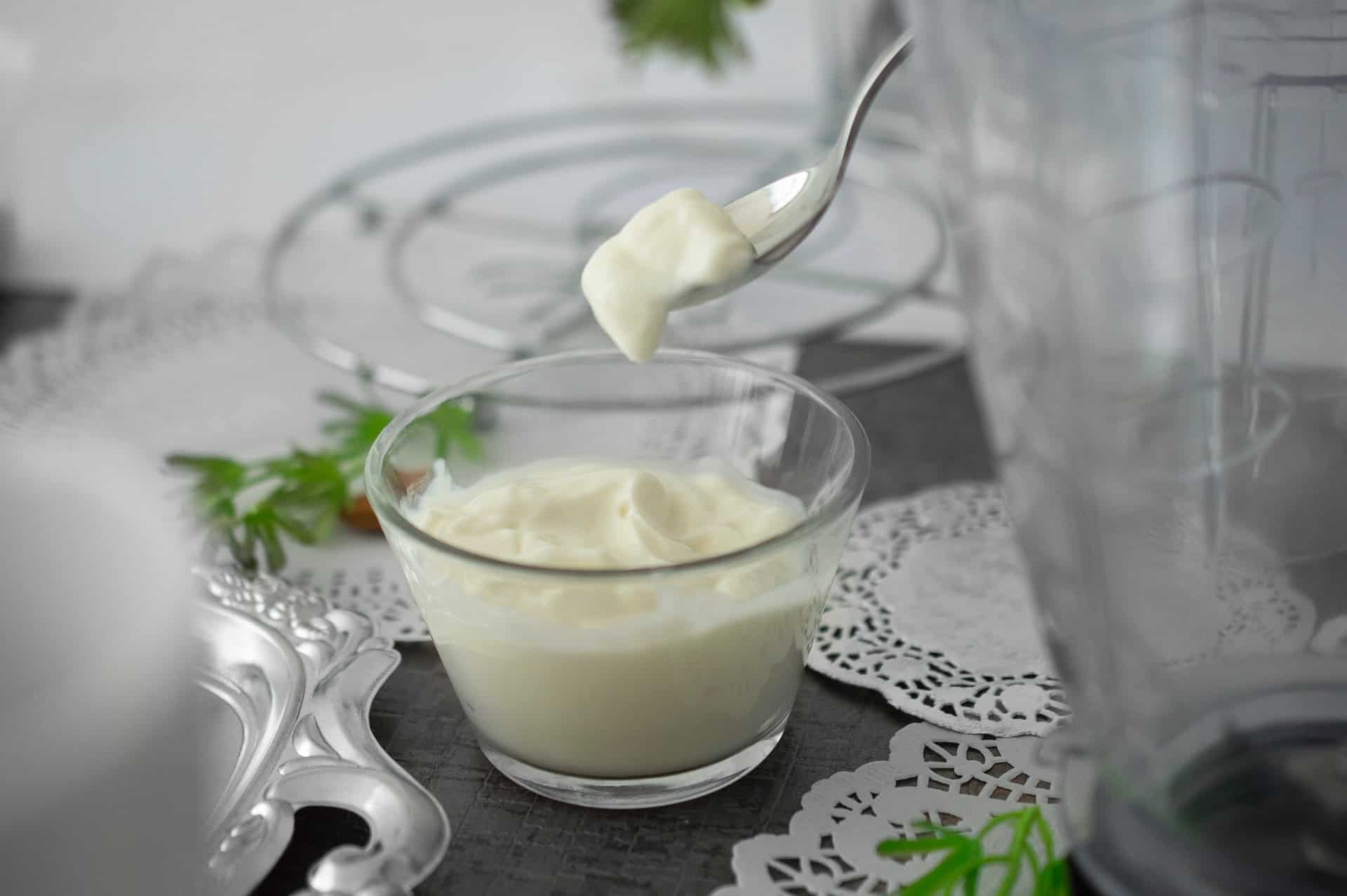 Como hacer yogur casero en yogurtera Receta de Rebeca de My House Land